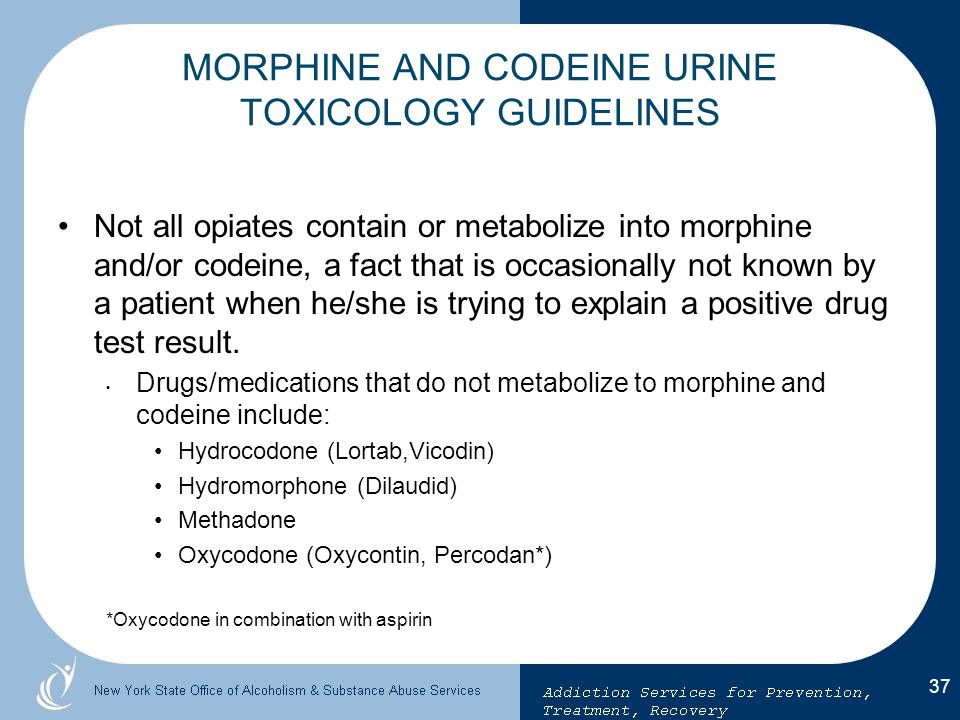 is hydrocodone codeine